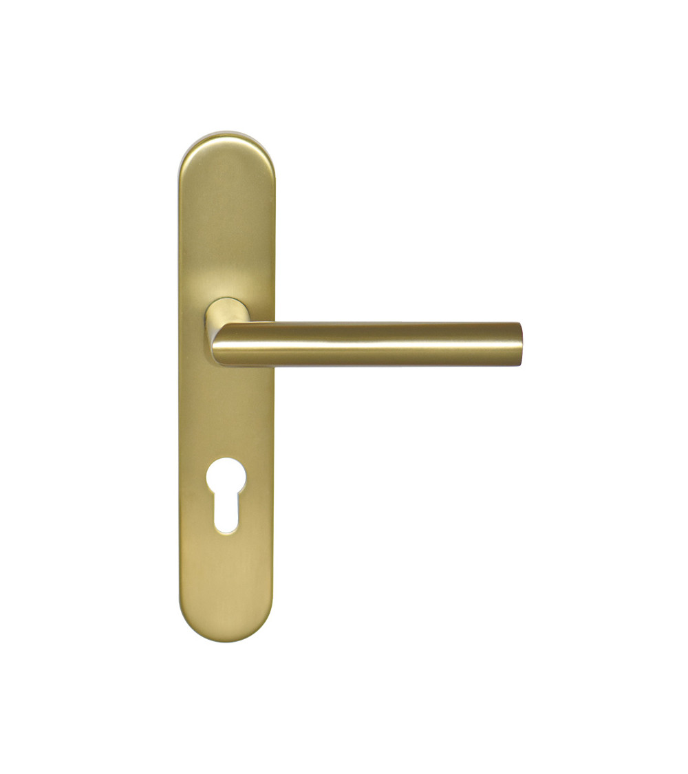 Maniglia Altesse Oro Satinato su placca cilindro ea70 EUROWALE