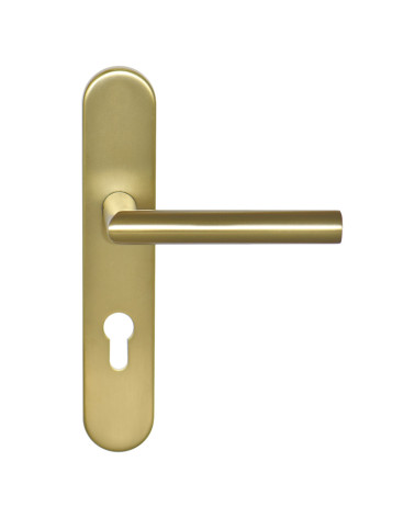 Maniglia Altesse Oro Satinato su placca cilindro ea70 EUROWALE