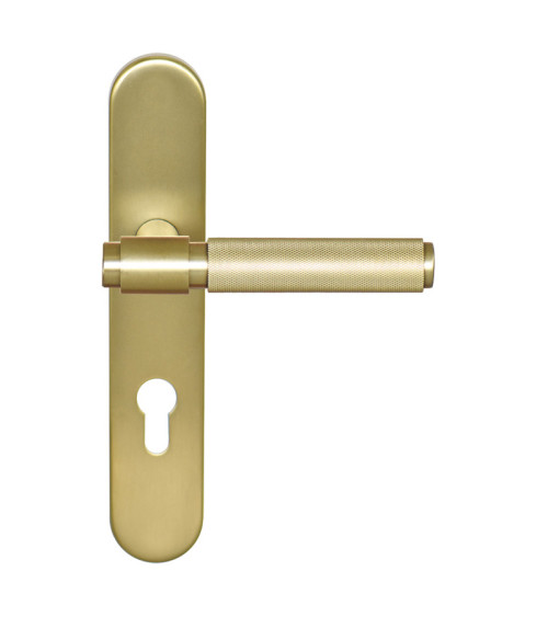 Maniglia Cers Oro Satinato PVD su placca cilindro ea70 EUROWALE