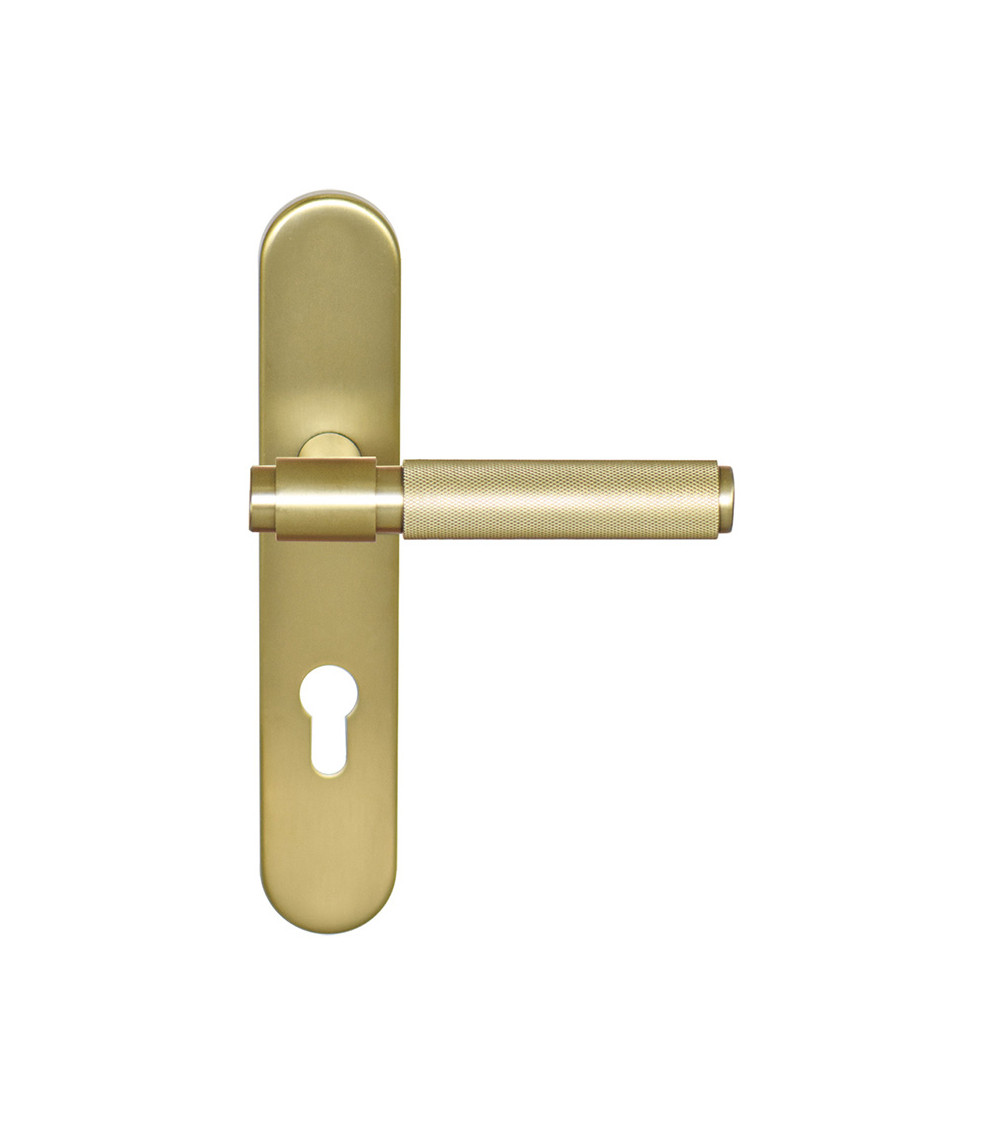 Maniglia Cers Oro Satinato PVD su placca cilindro ea70 EUROWALE