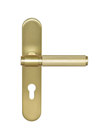 Maniglia Cers Oro Satinato PVD su placca cilindro ea70 EUROWALE