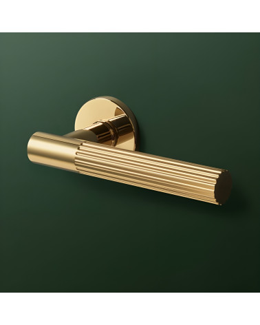 Maniglia per porta oro lucido LIVIA design valorizzata su sfondo verde