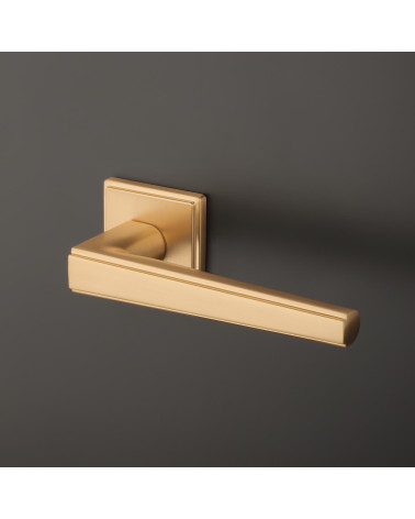 Maniglia per porta oro opaco SYRINGA maniglia design su uno sfondo
