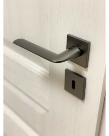 Maniglia per porta STINGER titanio maniglia design vista dall'alto inclinata montata su una porta