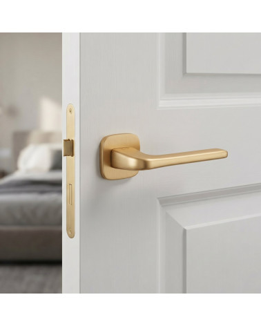Maniglia per porta su placca arrotondata finitura oro opaco Solo