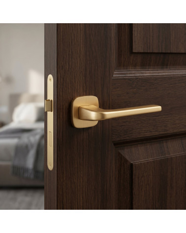 Maniglia per porta su placca arrotondata finitura oro opaco Solo