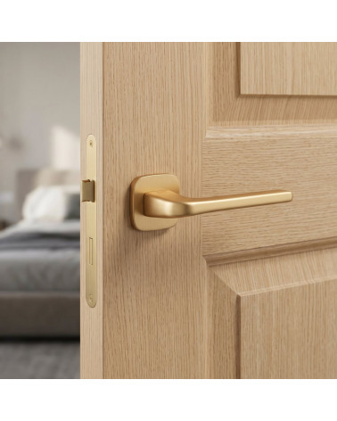 Maniglia per porta su placca arrotondata finitura oro opaco Solo