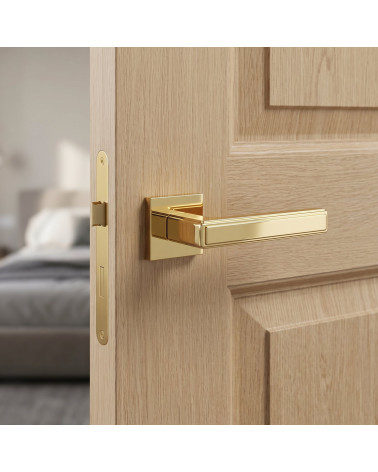 Maniglia per porta finitura oro lucido FRESIA