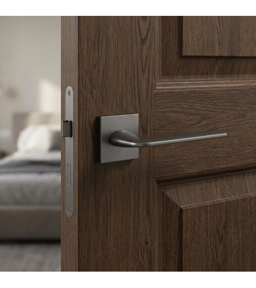 Maniglia per porta STINGER titanio maniglia design