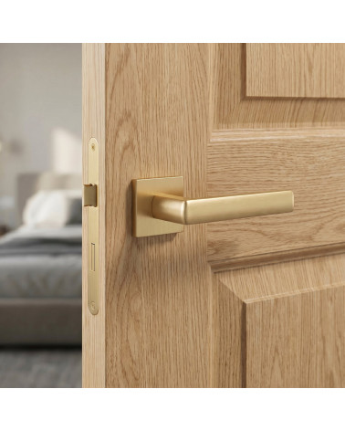 Maniglie per porte oro opaco HOSTA