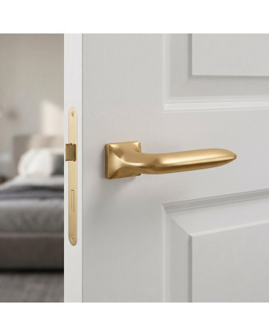 Maniglia per Porta in Zamak di Alta Qualità - Modello GLADIOLA