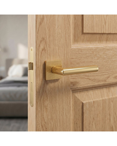 Maniglie per porta eleganti TUPAI 4002-T2 in oro - Milla Poignées