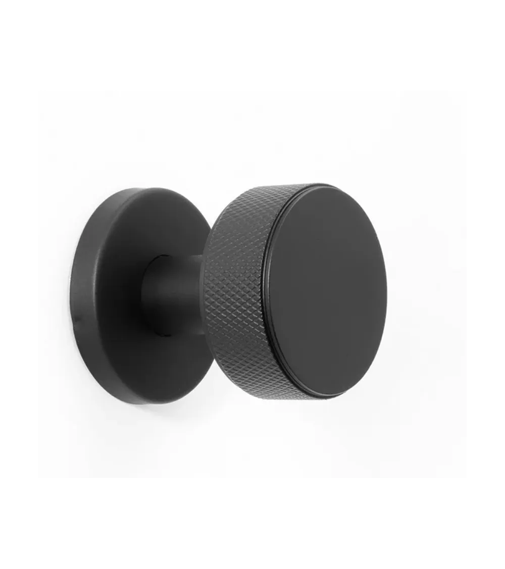 Pomello per porta di piano in inox oro satinato PVD per uso intensivo - modello Cers