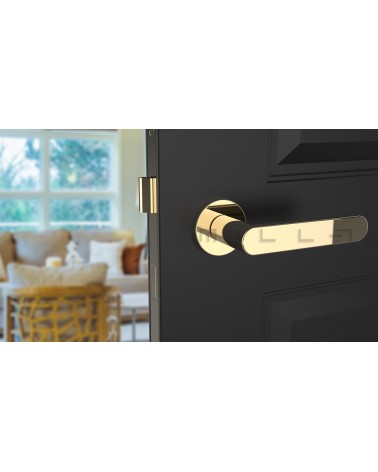 Maniglia per porta oro lucido ALORA maniglia design vista frontale montata su una porta