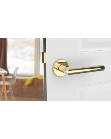 Maniglia per porta color oro lucido ARABIS maniglia design montata su una porta