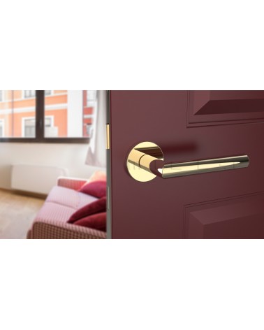 Maniglia per porta color oro lucido ARABIS maniglia design vista inclinata montata su una porta