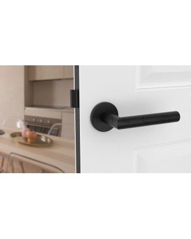 Maniglia per porta classica ARABIS maniglia design vista frontale montata su una porta