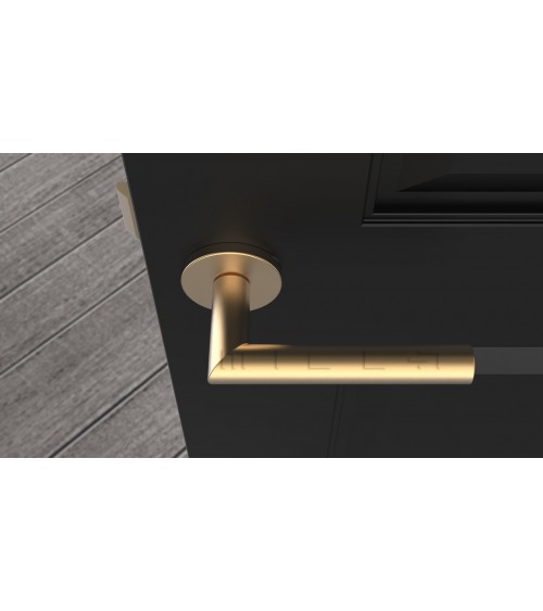 Maniglia per porta colore oro opaco ARABIS maniglia design