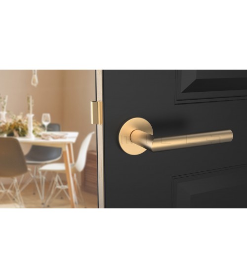 Maniglia per porta colore oro opaco ARABIS maniglia design