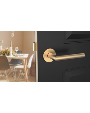 Maniglia per porta colore oro opaco ARABIS maniglia design vista frontale montata su una porta