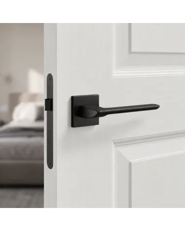Maniglia per Porta Contemporanea per una decorazione ultra design - ASTRA