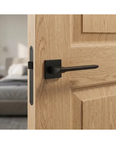 Maniglia per Porta Contemporanea per una decorazione ultra design - ASTRA