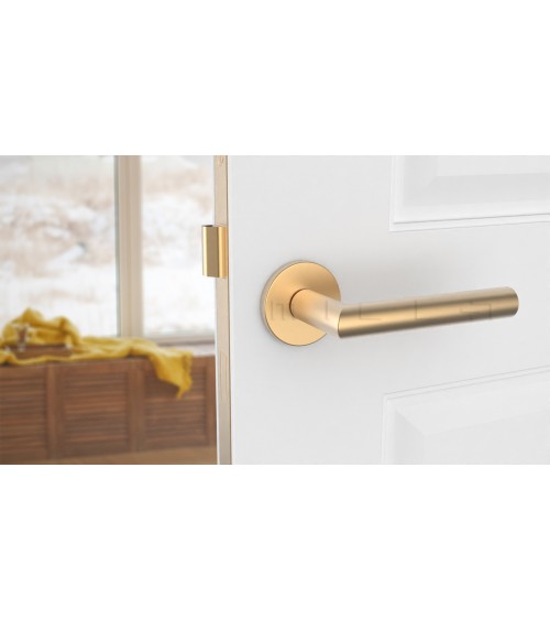 Maniglia per porta colore oro opaco ARABIS maniglia design