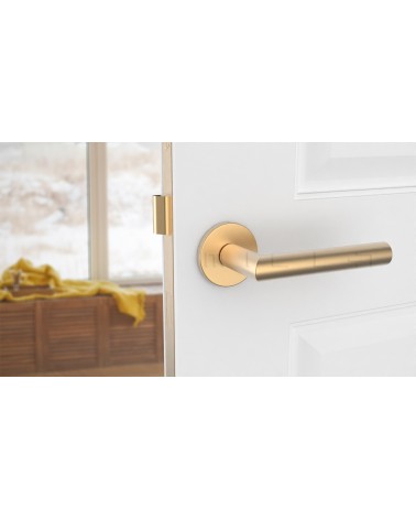 Maniglia per porta colore oro opaco ARABIS maniglia design vista frontale montata su una porta socchiusa