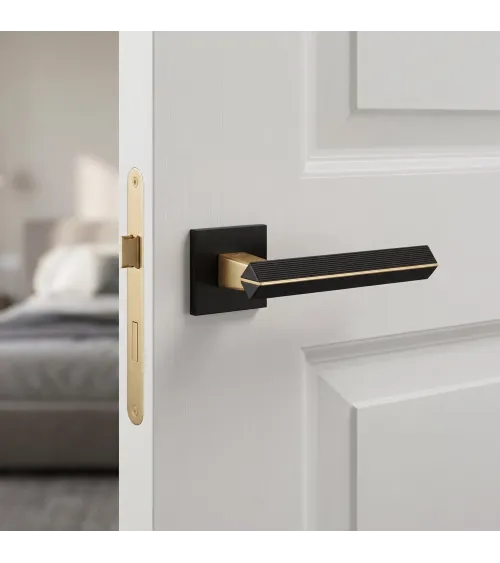 Maniglia per porta bicolore oro opaco/nero CARRERA maniglia design