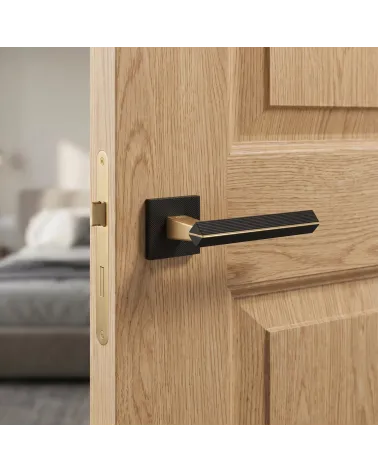 Maniglia per Porta Bicolore Oro Opaco/Nero Sofisticata - Modello CARRERA