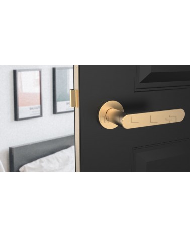 Maniglia porta dorata opaca ALORA design vista frontale montata su una porta