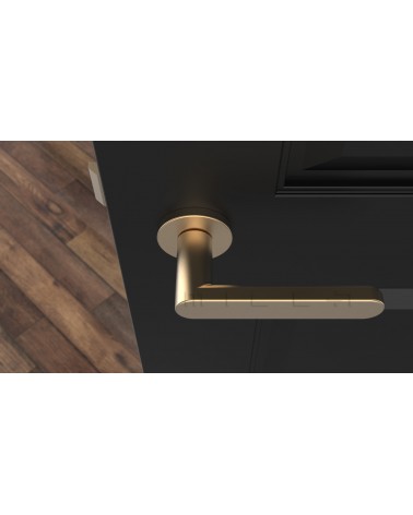 Maniglia porta dorata opaca ALORA design vista dall'alto montata su una porta