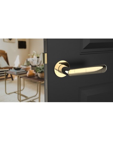 Maniglia per porta oro lucido ARIA maniglia design vista frontale montata su una porta socchiusa
