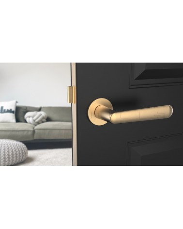 Maniglia per porta oro opaco ARIA maniglia design vista frontale montata su una porta