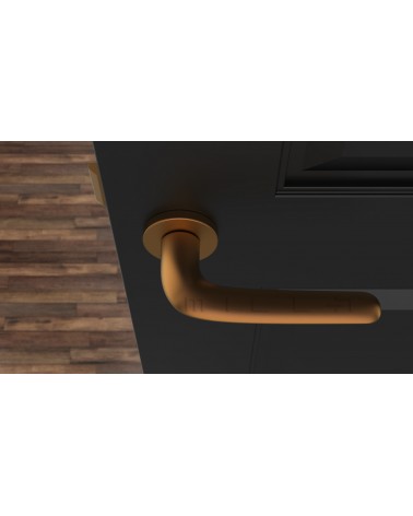 Maniglia per porta Rame AZALIA maniglia design vista dall'alto montata su una porta