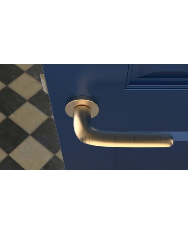 Maniglia per porta Oro opaco AZALIA maniglia design vista dall'alto montata su una porta