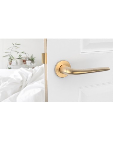 Maniglia per porta Oro opaco AZALIA maniglia design vista frontale montata su una porta