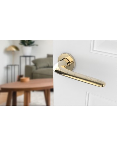 Maniglia per porta Oro AZALIA maniglia design vista inclinata montata su una porta