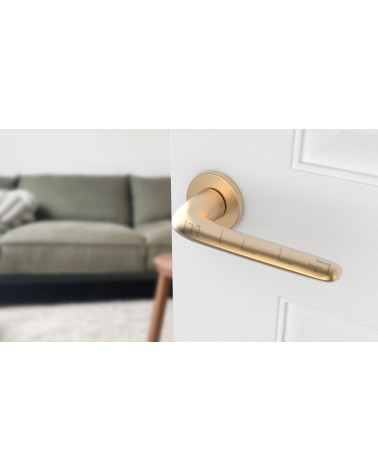 Maniglia per porta Oro opaco AZALIA maniglia design vista inclinata montata su una porta