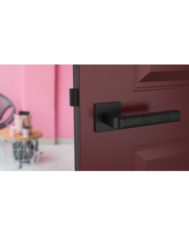 Maniglia per porta SALICE nera ferramenta design vista frontale montata su una porta