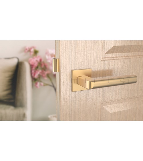 Maniglia per porta oro opaco SALICE ferramenta design