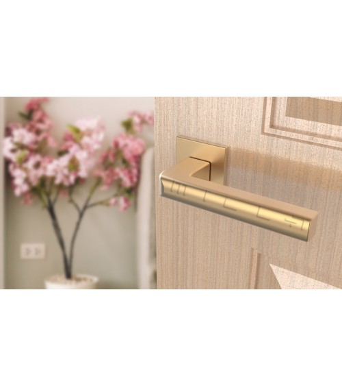 Maniglia per porta oro opaco SALICE ferramenta design