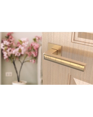 Maniglia per porta oro opaco SALICE ferramenta design vista inclinata montata su una porta