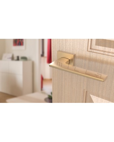 Maniglia per porta oro opaco LUNARIA design vista dall'alto inclinata montata su porta