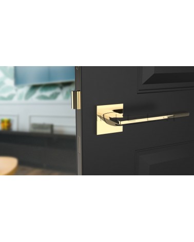 Maniglia per porta oro lucido LUNARIA design vista frontale montata su una porta
