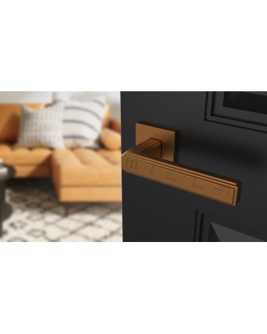 Maniglia per porta moderna RAFLESIA maniglia design colore 1 montata su una porta blu scuro aperta