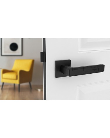 Maniglia per porta Nera RAFLESIA maniglia design montata su una porta