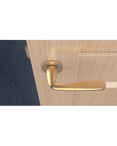 Maniglia per porta oro opaco HIACYNTA maniglia design vista dall'alto montata su una porta