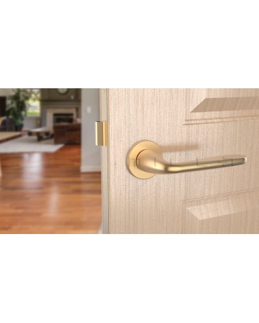 Maniglia per porta oro opaco HIACYNTA maniglia design vista frontale montata su una porta