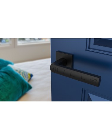 Maniglia per porta classica HOSTA maniglia design vista dall'alto inclinata montata su una porta